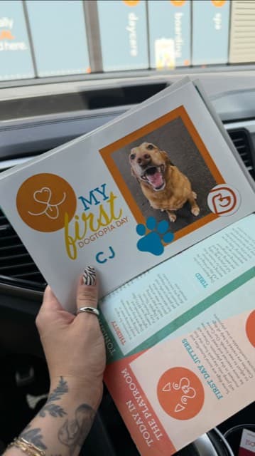 Dogtopia of Boise Greenbelt, from Boise Socialite’s Instagram recommendation