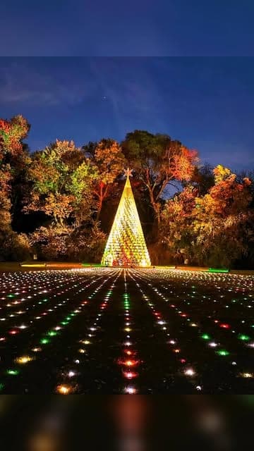 Fort Worth Botanic Garden, from Karlie Does Dallas’s Instagram coverage