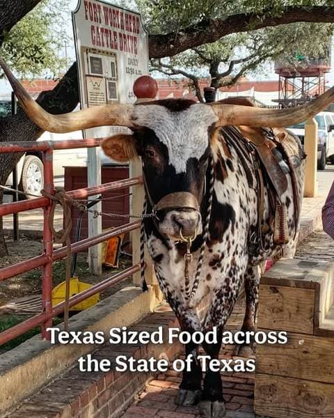Con Azucar Cafe, Fort Worth, TX., from Karlie Does Dallas’s Instagram coverage